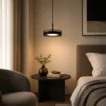 Modern Ring Linear Pendant Light | Pearl Black LED Ceiling Lighting Fixture - Image 4