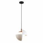 Modern Petal Pendant Light | Frosted Glass LED Ceiling Lighting Fixture