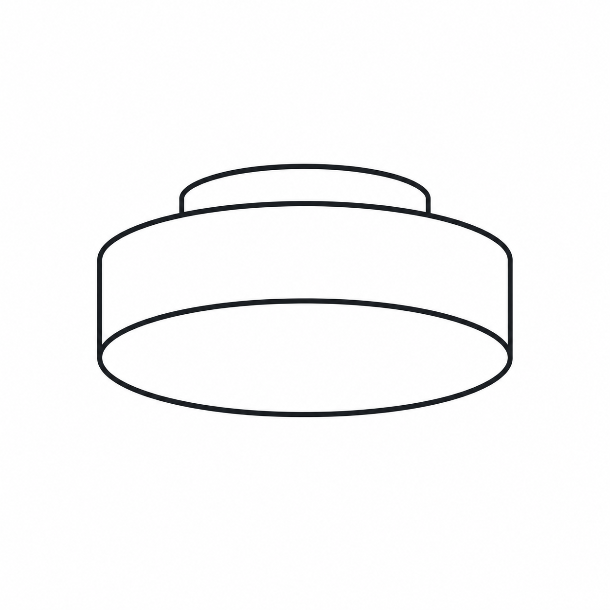 Ceiling Light