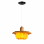 Pumpkin Wood Pendant Light | Natural Resin Lighting