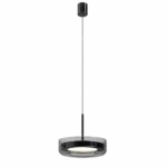 Modern Ring Linear Pendant Light | Pearl Black LED Ceiling Lighting Fixture