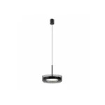 Modern Ring Linear Pendant Light | Pearl Black LED Ceiling Lighting Fixture