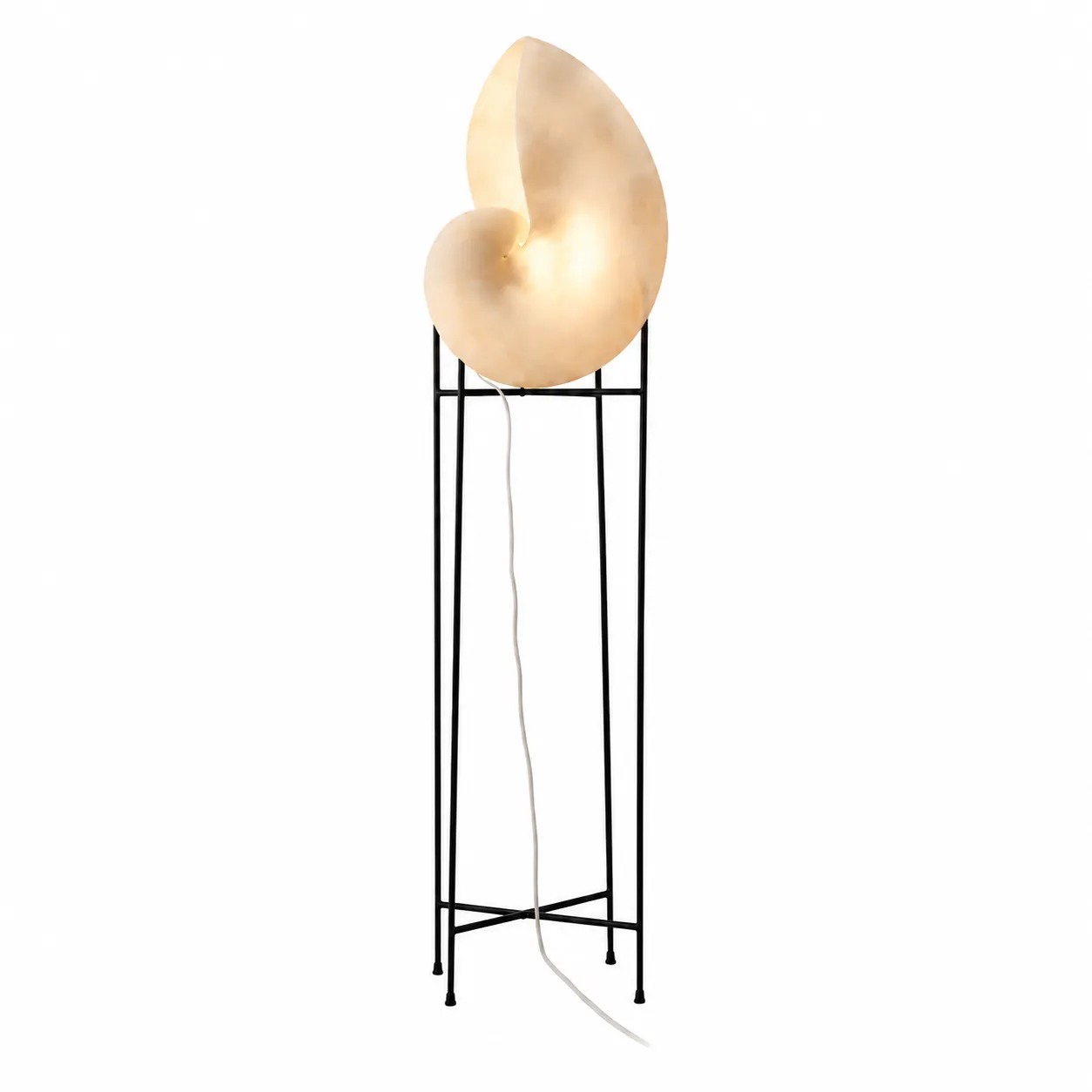 ee11471ae6f5b1ec06cb9a854fcaa236_11zon Ocean Conch Sculptural Floor Lamp | Organic Lighting - Image 1